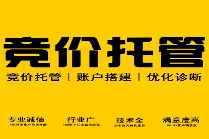 竞价排名在品牌推广中的经典案例